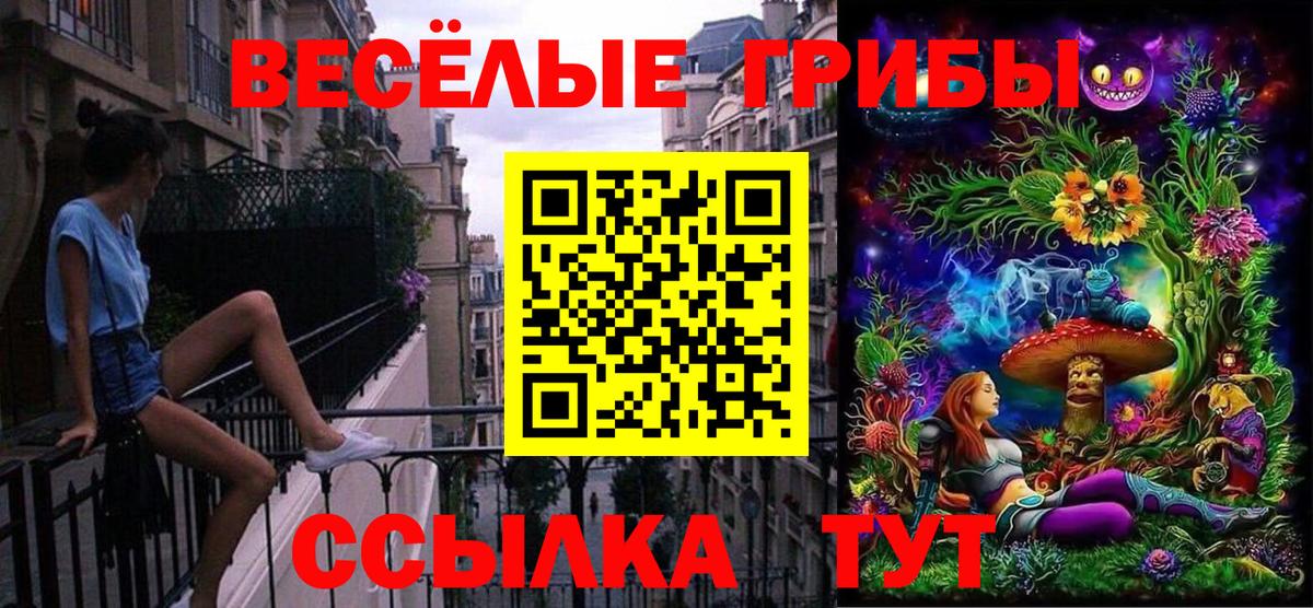 Галлюциногенные грибы MAGIC MUSHROOMS  Вход с VPN  Малгобек  Псилоцибиновые грибы мицелий 