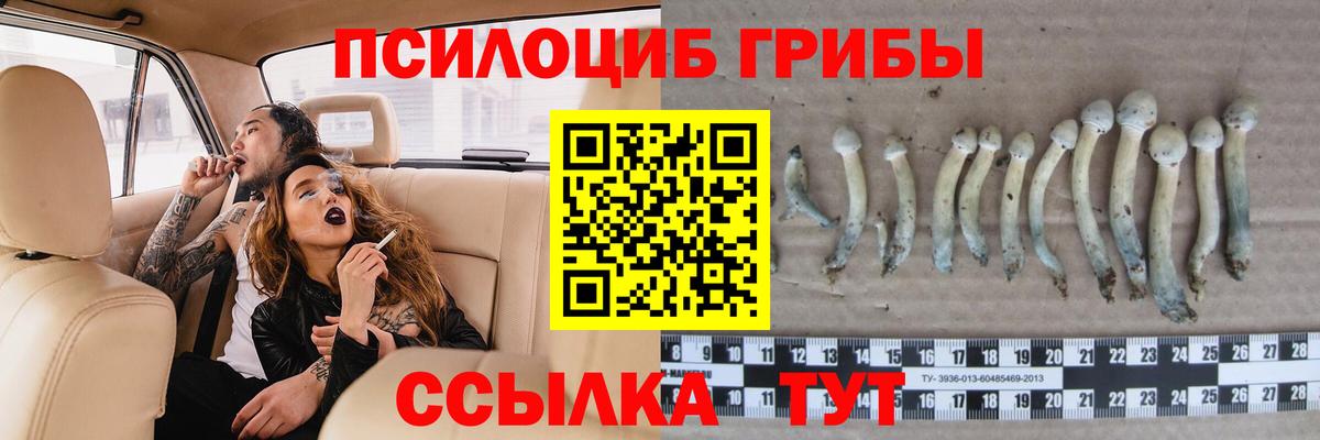 Галлюциногенные грибы ЛСД Малгобек